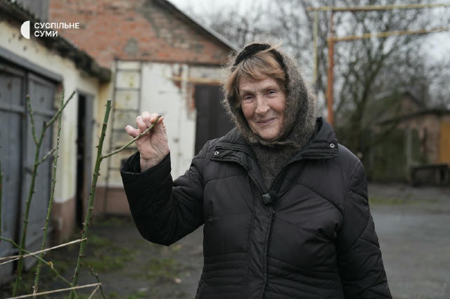 🥀"Вижила попри все", — так говорить про улюблений кущ плетистої троянди жителька Білопілля Олена Вороненко. У травні 2024 ро