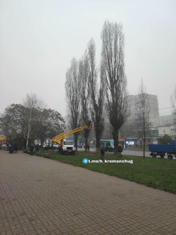 МАФлетизація Молодіжного продовжується. На Героїв України спилюють дерева для встановлення нових МАФів. Підписатися • Надісла