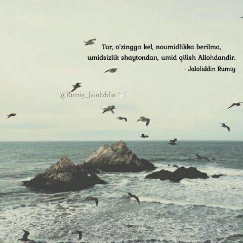 Tur, o’zingga kel, noumidlikka berilma, umidsizlik shaytondan, umid qilish Allohdandir. 🌿 - Jaloliddin Rumiy @Rumiy_Jalolidd