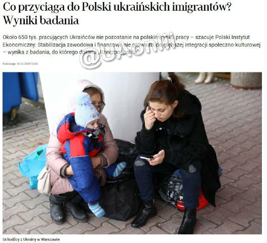 Близько 43% українців можуть виїхати з Польщі найближчим часом. Лише 15% українців змогли добре інтегруватися у польському су