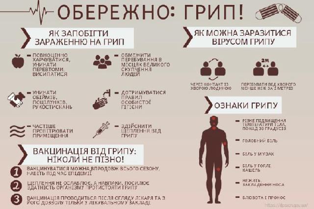 ❗️У Британії найбільший спалах грипу за всю історію: світом стрімко шириться грип-мутант H3N2, — Daily Mail Штам H3N2, який з