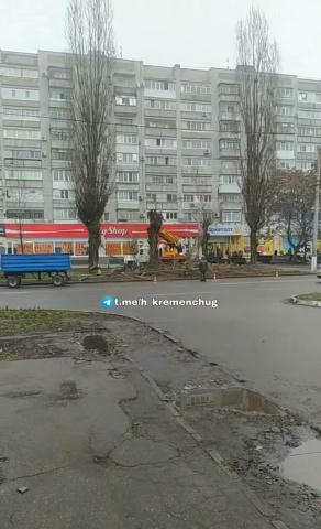 Вирубують дерева на Героїв України не для МАФів — буде кишеня для автівок Сьогодні до редакції «Кременчуцької газети» зателеф