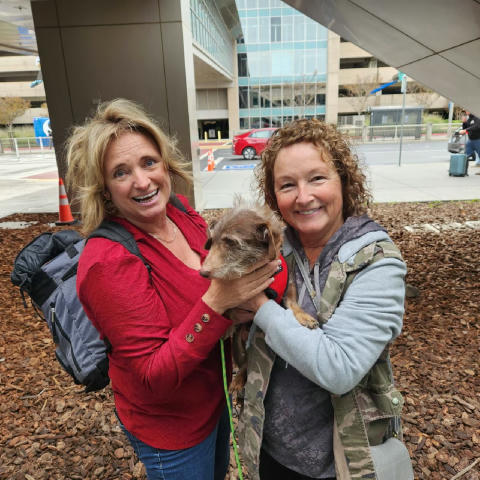 🐶😧У Каліфорнії зниклий майже 5 років тому песик Чоко знайшовся аж за 3700 км від дому, – повідомляє WP. Власниця Патрісія р