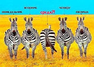 Доброго ранку⛅️ Сьогодні вже середа, а це означає що до вихідних залишилося зовсім трохи. По погоді: очікується хмарний день,