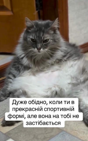 Приєднуйся 👉 ГУМОР UA 🤣