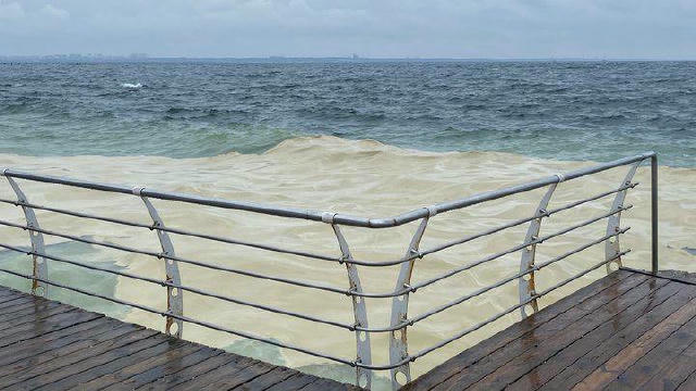 Пляма олії в Чорному морі розтягнулася вже на 55 км: це довгострокова проблема, — Український науковий центр екології моря На