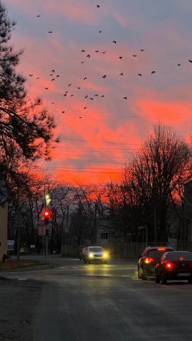 😍Зимовий світанок у Дніпрі, – соцмережі. Скидуйте свої фото в коменти👇 @