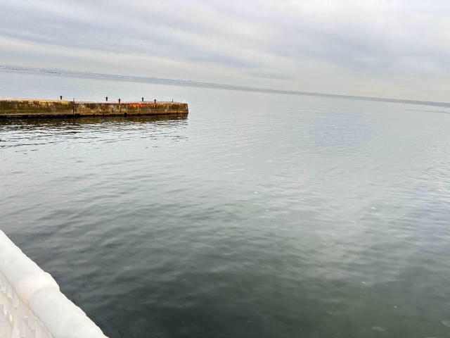 Зафиксировано заметное сокращение загрязнения акватории Чёрного моря остатками растительного масла. Улучшения наблюдаются на