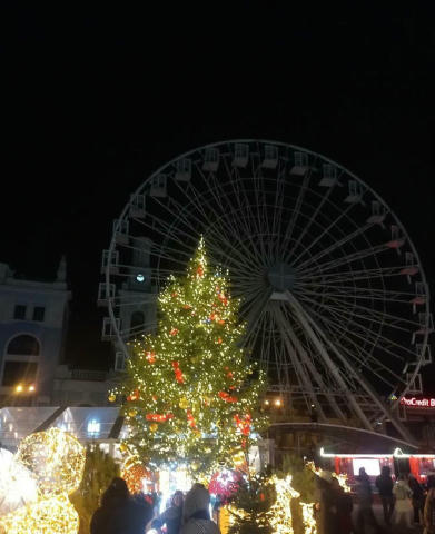 У Києві почали демонтаж Колеса огляду на Подолі. Атракціон закрили за вимогою прокуратури, власник розбирає його власним кошт