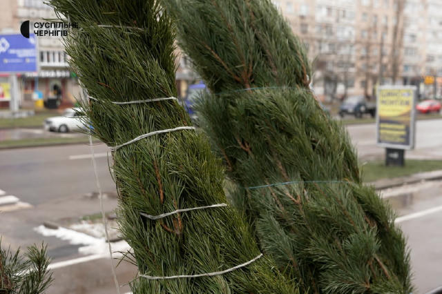 🌲 Різдвяні ярмарки на Чернігівщині вже реалізували понад 7 тисяч святкових дерев.