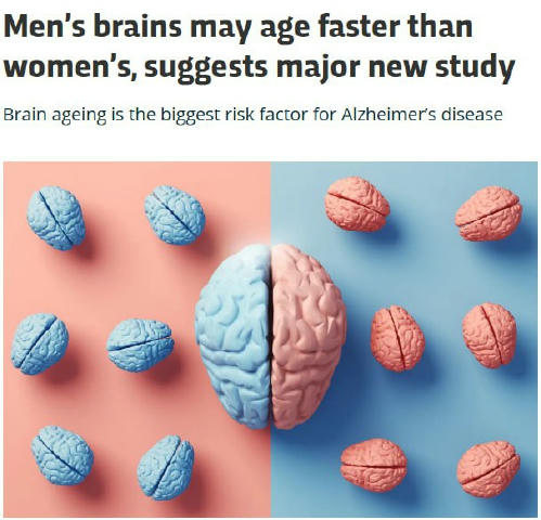 🧠 Чоловічий мозок старіє швидше за жіночий, — вчені Аналіз МРТ понад 4,7 тис. людей показав, що у чоловіків швидше зменшуєть