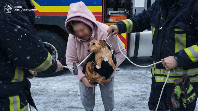 Рятувальники дістали собаку, який впав у 12-метровий колодязь у селі Велика Пʼятигірка Бердичівського району. «Води було майж