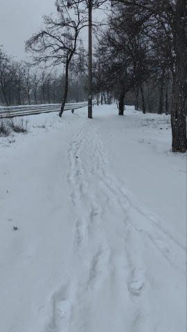 ☺️ Дякуємо вам, люди, за доброту ...а природі — за красу⛄️ Ми в 📲 WhatsApp 📲 Instagram 📲 TikTok