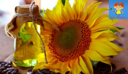 Запасы подсолнечного масла женевской компании были разбомблены в Украине Запасы подсолнечного масла женевской компании были р