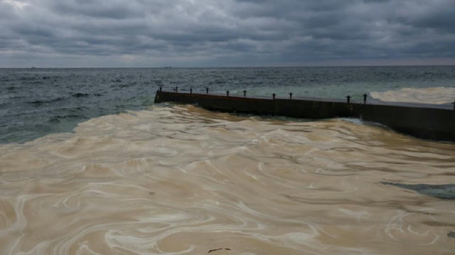 В Чёрном море после атаки РФ пятно масла растянулось уже на 55 километров В Украинском научном центре экологии моря сообщили,