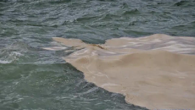 Компания Kernel сообщила об атаке врага на Ильичёвский масложировой комбинат «Ночью 25 декабря пожар охватил производственные